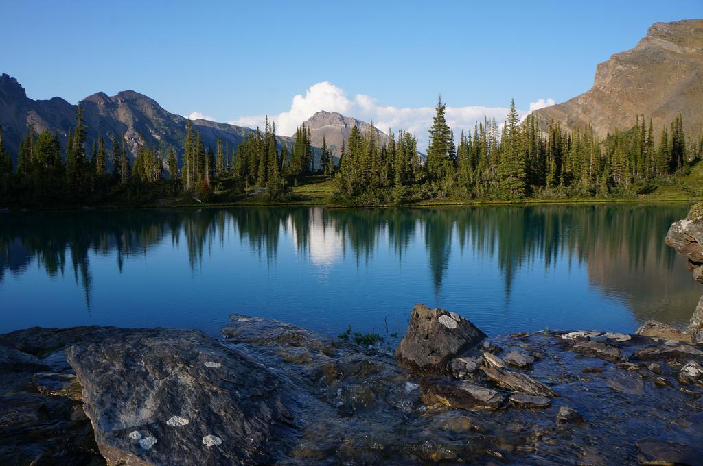 غولدن Whitewater Lodge المظهر الخارجي الصورة