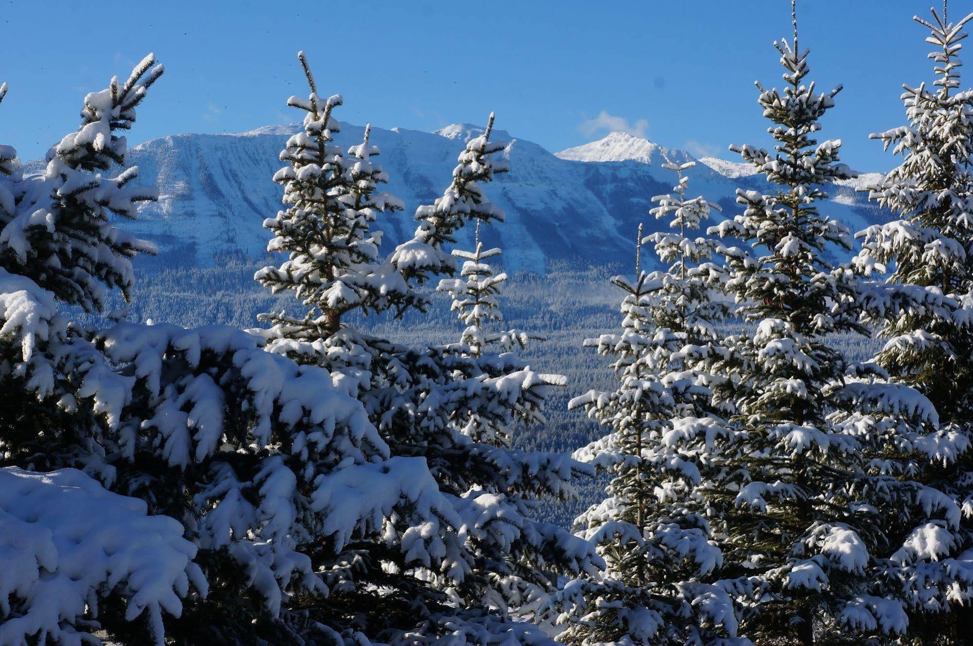 غولدن Whitewater Lodge المظهر الخارجي الصورة